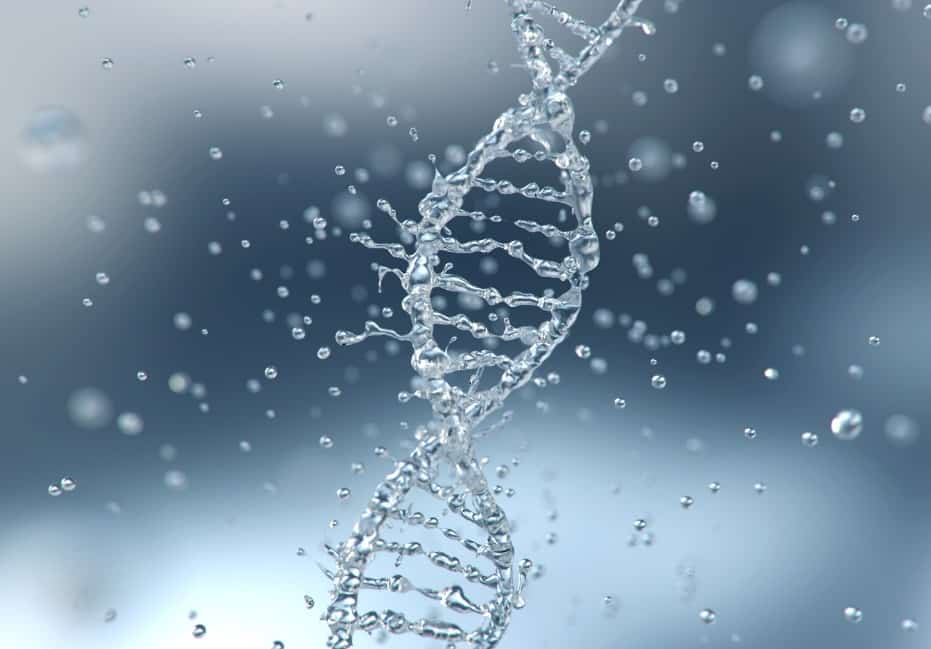 Water image of DNA helix structure without chromosomal abnormalities