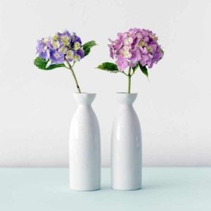 two vases holding purple and pink flowers
