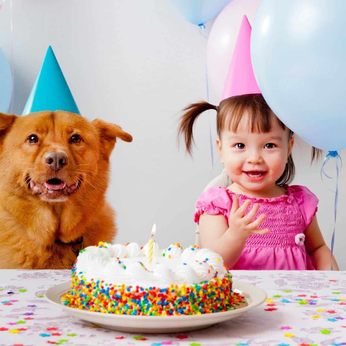 Toddler, Dog, and Birthday Cake