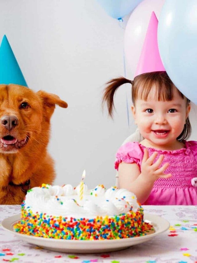 Your Guide to Toddler Birthday Party Etiquette Story
