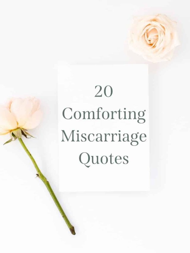 20 Miscarriage Quotes that Brought Me Comfort Story