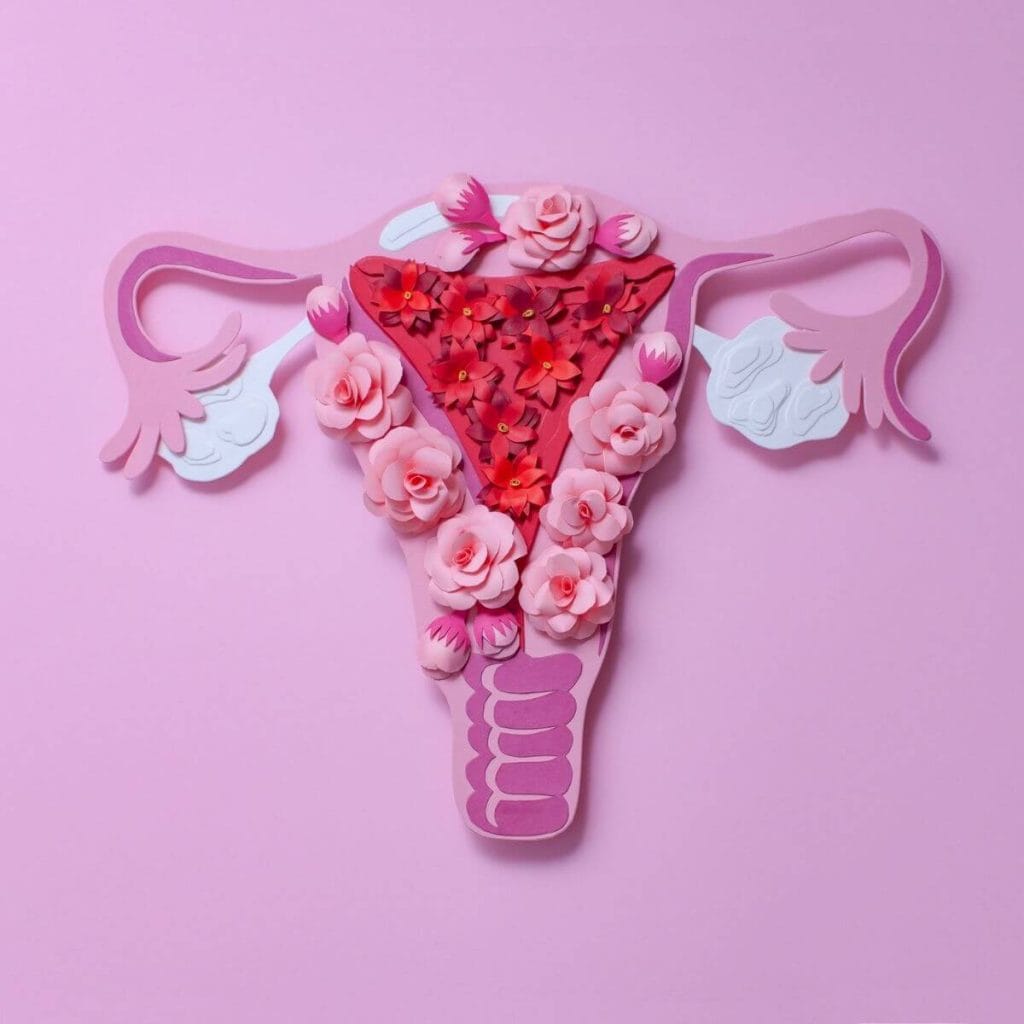 A light pinkish/purple background with a model of a uterus in light pink, dark pink, red, and white with light pink roses and red flowers making up the inside of the uteurus