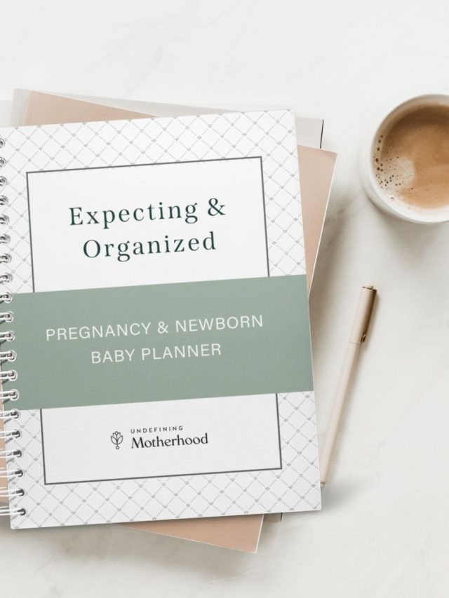 Pregnancy Planners: The Stress-Free Way to Prepare for Baby Story