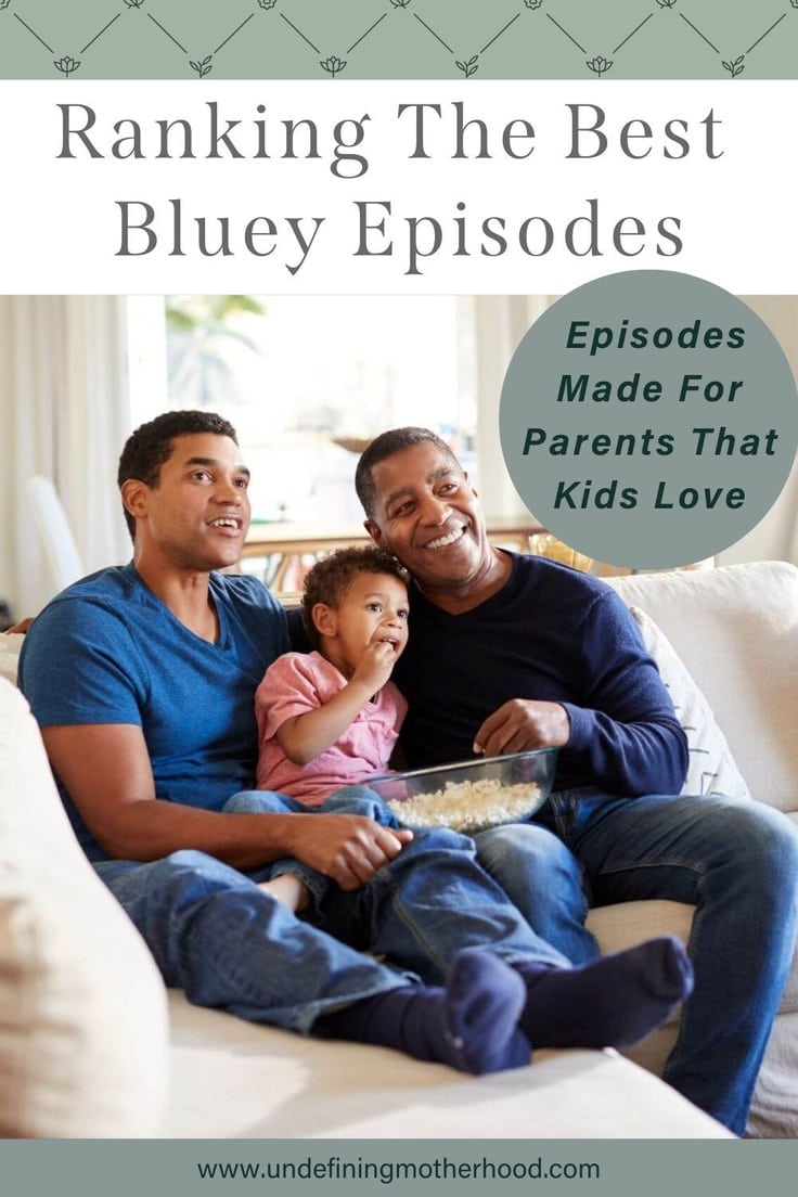 Ranking the Best Bluey Episodes The Episodes Made For Parents That