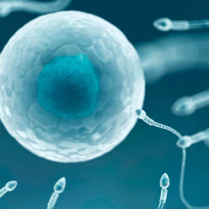 A photograph of sperm swimming towards an egg on a blue background. The image depicts the process of fertilization in reproduction.