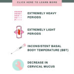 A vertical image that says signs you might not be ovulating: click here to learn more. Beneath, it has 5 symptoms listed with small graphics next to them to help the viewer visualize each symptom. The symptoms listed are extremely heavy periods, extremely light periods, irregular basal body temperature, decreased cervical mucus, and no positive ovulation test.
