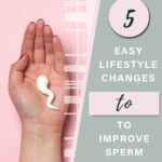 A vertical image with a photo on the left and text on the right. The left side shows a hand on a pink background holding a white plastic piece of sperm. On the right side is a green background with text that says 5 easy lifestyle changes to improve sperm health. At the bottom is a button with a pink background and green text that says click here for the list.